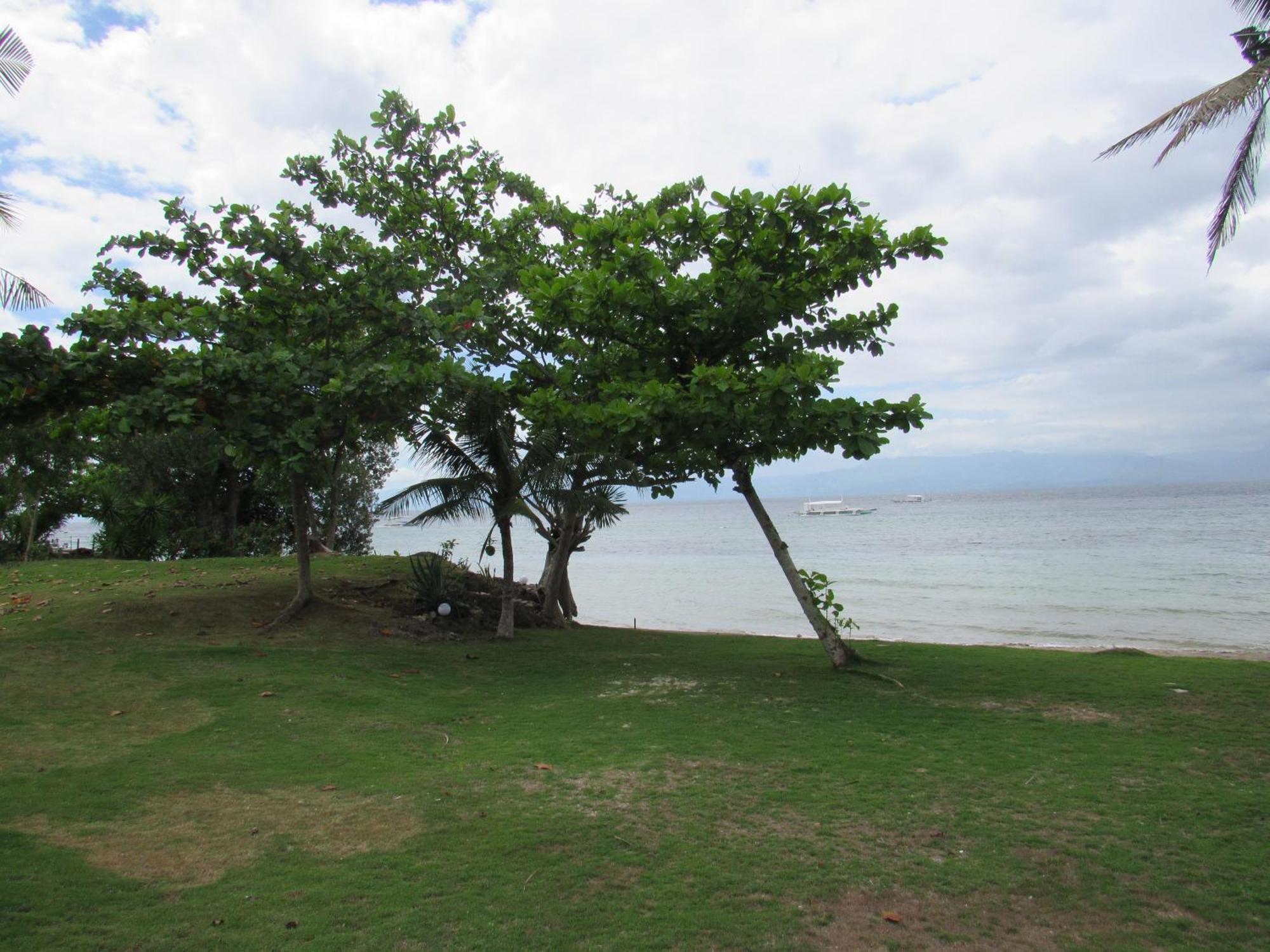 Dacozy Beach Resort Moalboal Luaran gambar